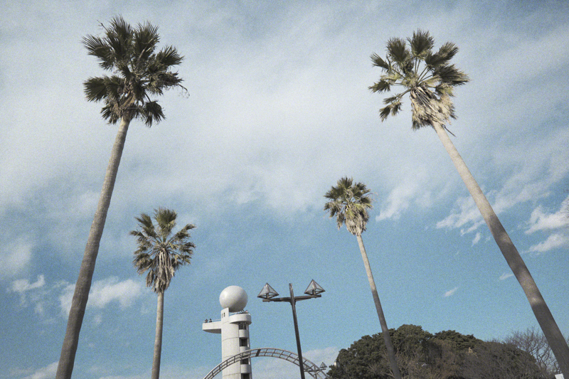 往年のカラーネガフィルムを思わせるL.クラシックネオでの撮影。印象的な青の色調に加えて、白のトーンも美しく再現されている（撮影：コムロミホ）<br><span class="fnt-85">LUMIX S5 / LUMIX S 20-60mm F3.5-5.6 / 47mm / 絞り優先AE（1/2,000秒・F3.5） / ISO 100</span>