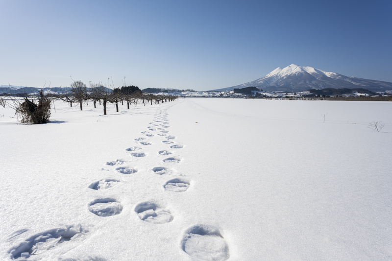 撮影：対馬慎太郎<br><span class="fnt-85">Nikon Z 7II / NIKKOR Z 20mm f/1.8 S / マニュアル露出（F8.0、1/800秒） / ISO 64</span>