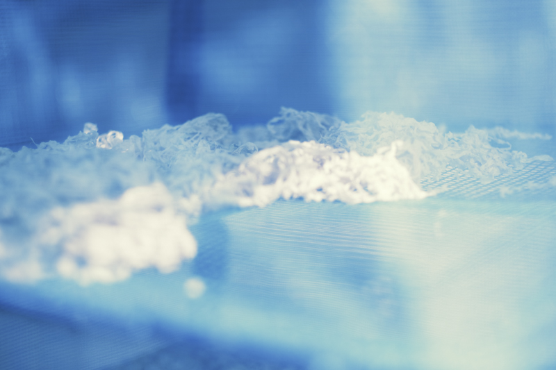 撮影：大村祐里子<br><span class="fnt-85">K-3 Mark III / smc PENTAX-FA 43mmF1.9 Limited / 66mm相当 / マニュアル露出（1/1,600秒・F1.9） / ISO 100</span>