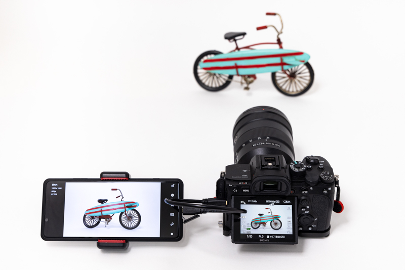 情報表示なしの状態。カメラの背面モニターの挙動が違うので注意したい