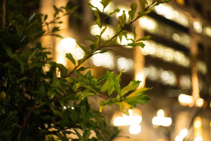 絞りのサイズを大きめにしてみた例