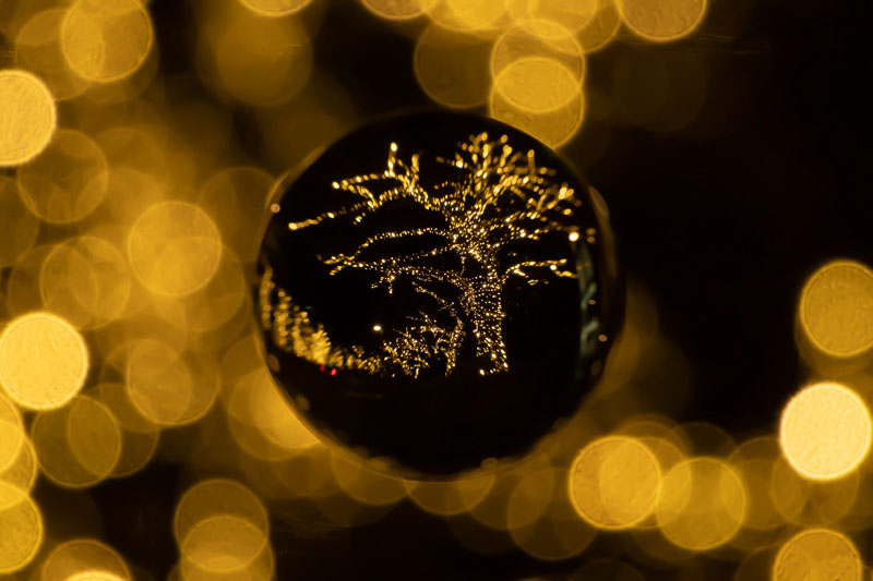 自作絞りを使用