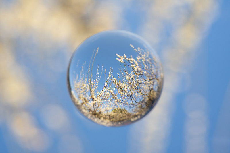 自作絞りを使用