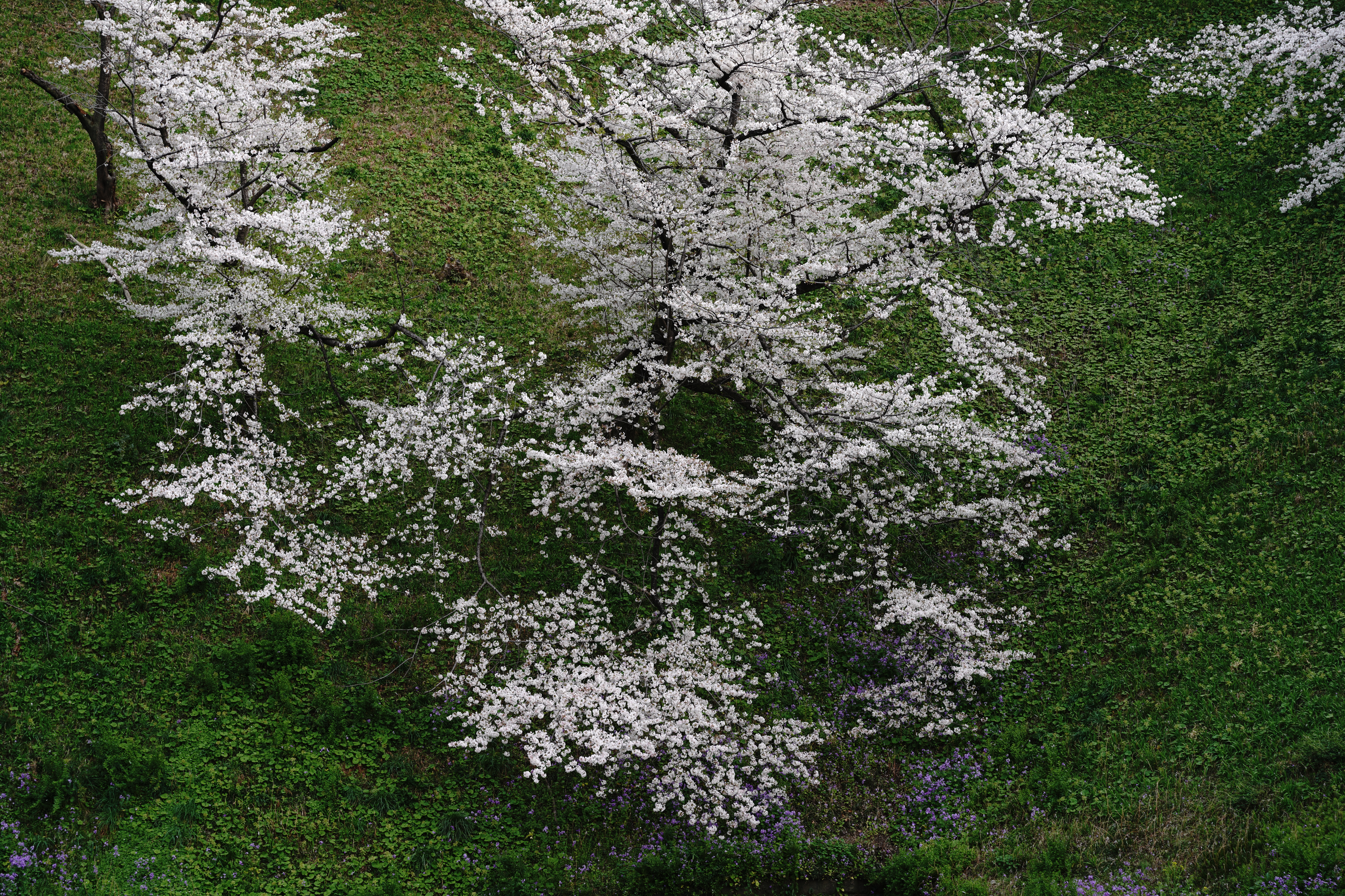 <span class="fnt-85">α7R IV / SIGMA 28-70mm F2.8 DG DN｜Contemporary（70mm） / 絞り優先AE（F5.6・1/80秒・-0.3EV） ISO 100</span>