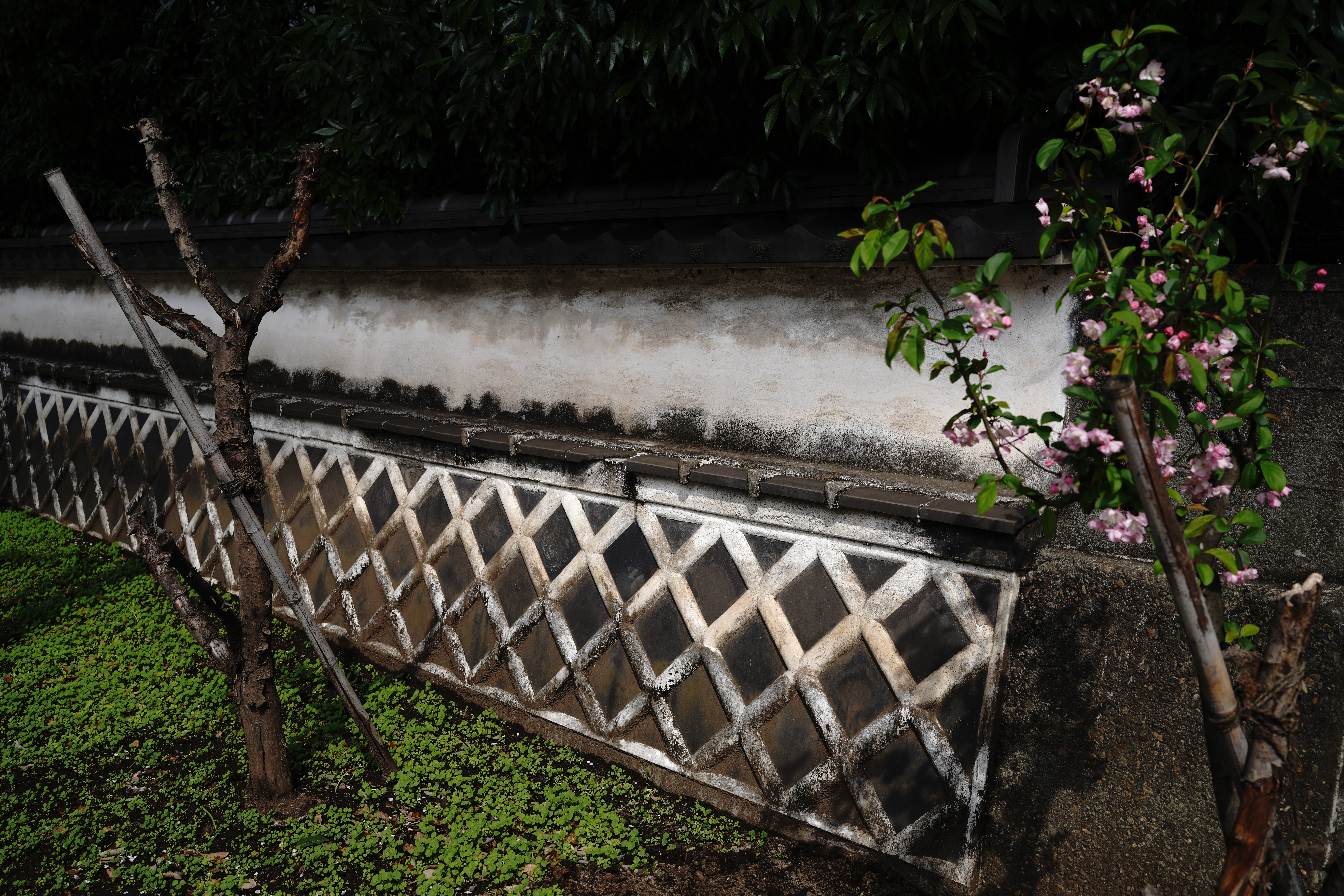 <span class="fnt-85">α7R IV / SIGMA 28-70mm F2.8 DG DN｜Contemporary（35.6mm） / 絞り優先AE（F5.6・1/400秒・-0.3EV） ISO 100</span>