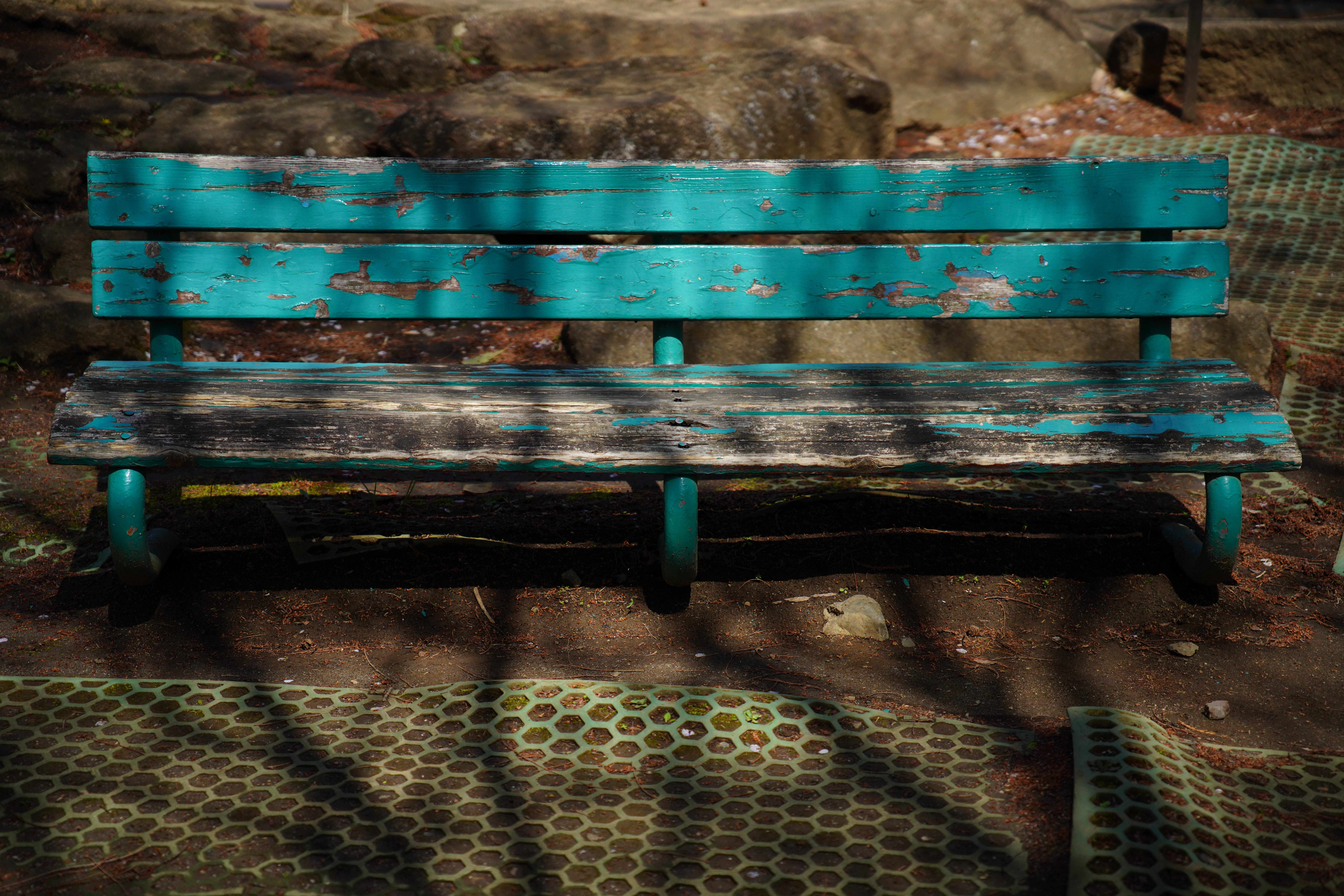 <span class="fnt-85">α7R IV / SIGMA 28-70mm F2.8 DG DN｜Contemporary（70mm） / 絞り優先AE（F2.8・1/6,400秒・-0.7EV） ISO 400</span>