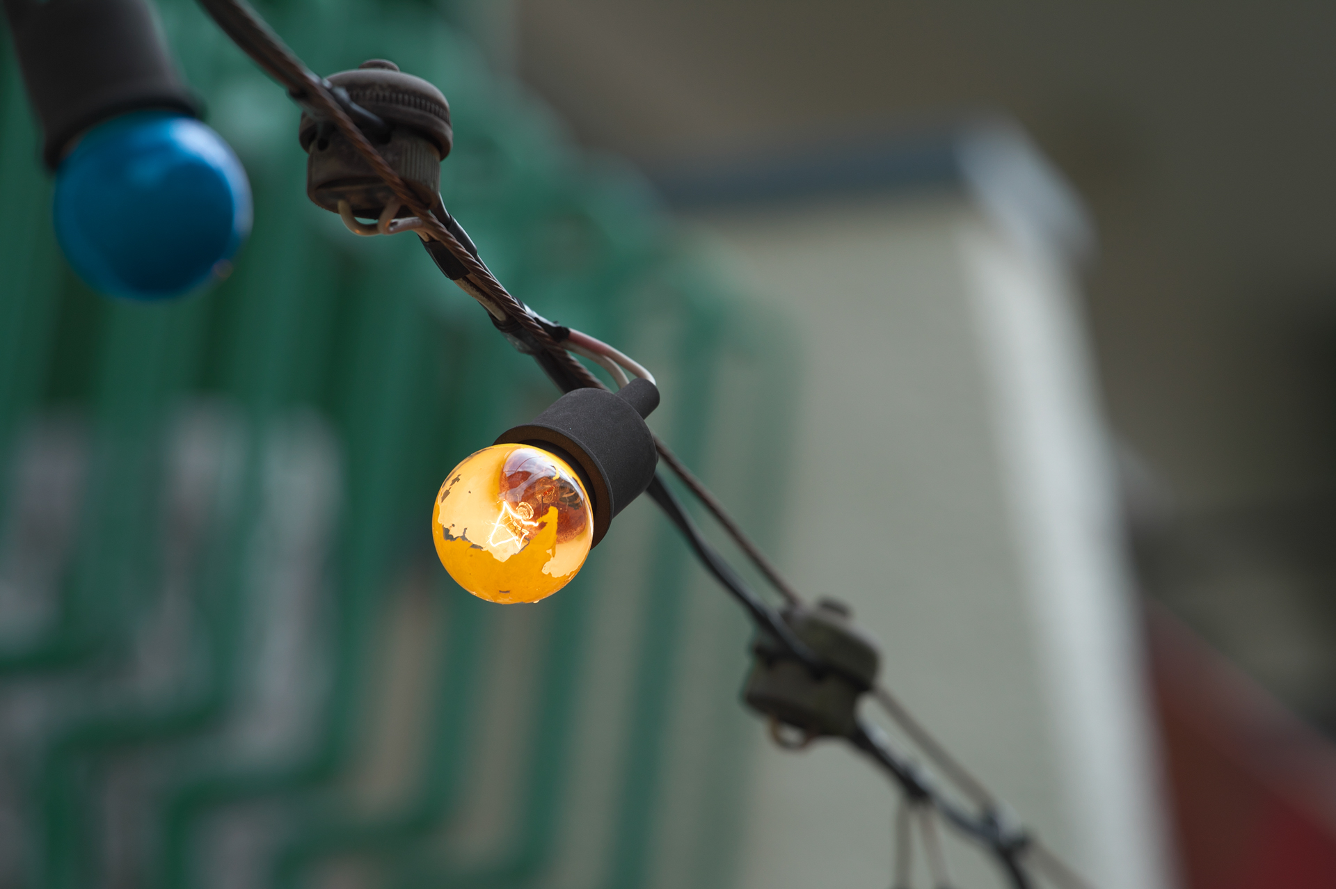 フィルム時代のレンズなのに質感の描写が良くてびっくりします。大口径ではありませんが、ボケ味もクセがなく素直です。レンズ構成は7群9枚。同じスペックのライカR用のレンズのエルマーR 180mm F4は4群5枚構成。これも勝負したくなりますが、似たような雰囲気で写るのでしょうか。<br>ニコンDf　APO-LANTHAR 180mm F4 SL Close Focus（F5.6・1/500秒）ISO 400