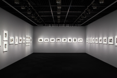 写真展PICK UP】森山大道氏の初期作品からなる展覧会「衝撃的