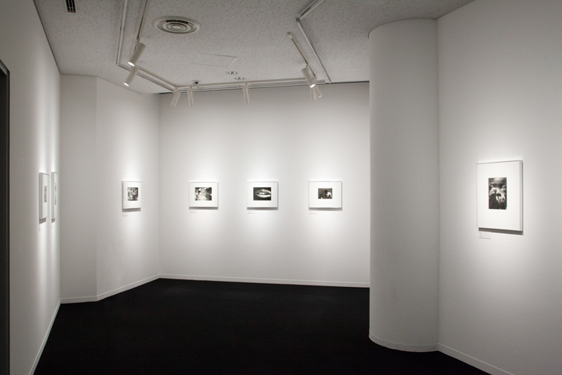 会場入ってすぐの展示室