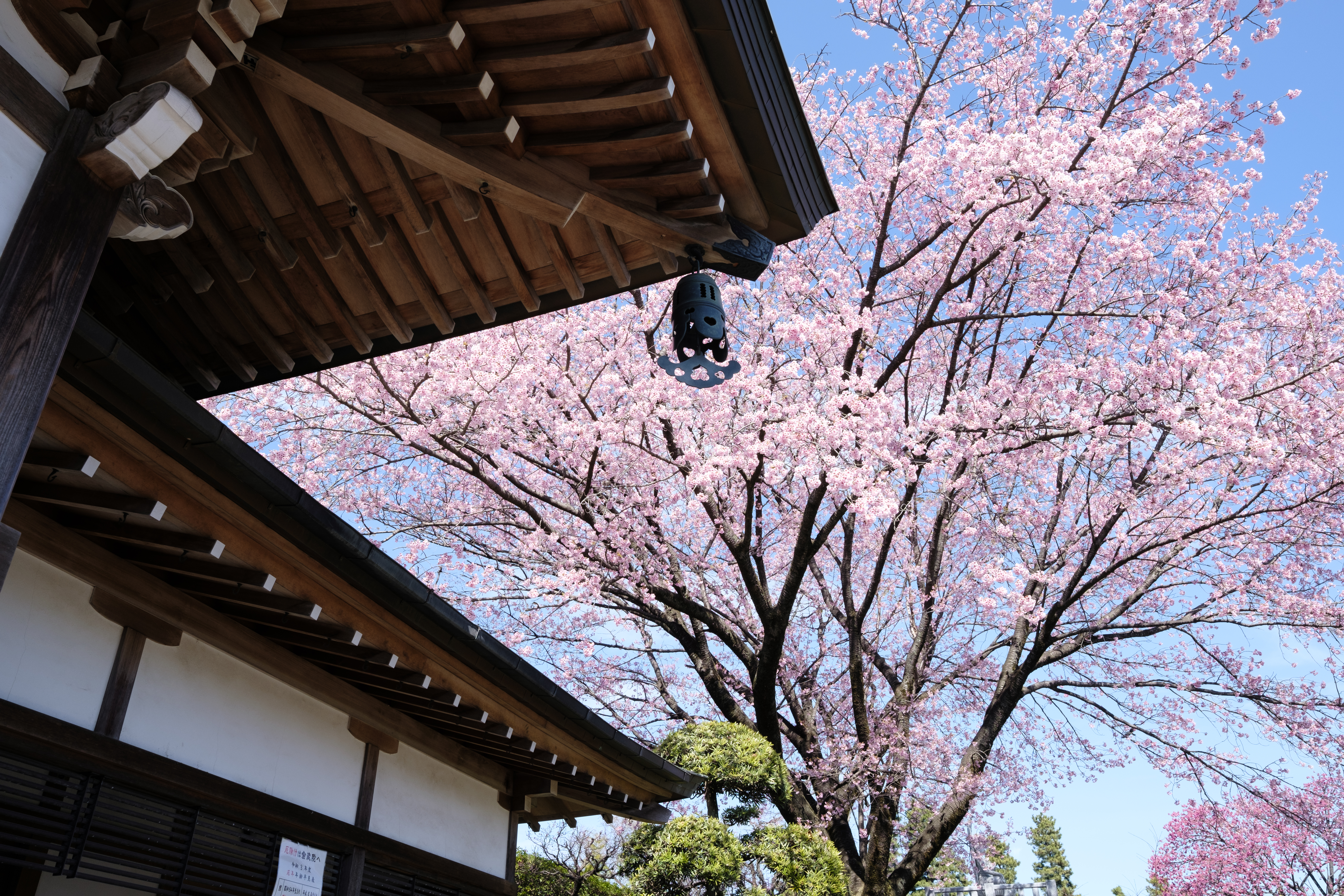 <span class="fnt-85">X-T4 / XF18mmF1.4 R LM WR / 絞り優先AE（F8・1/160秒・+1.3EV） / ISO 320</span>