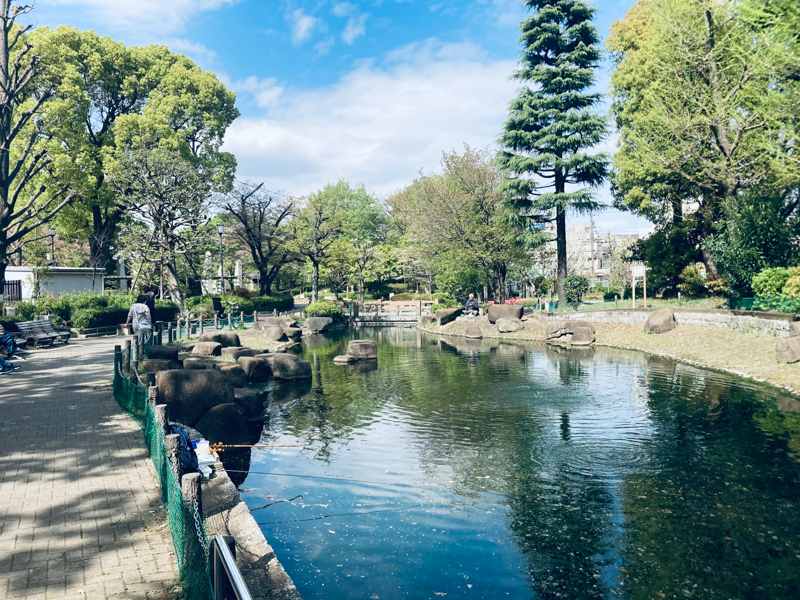 ビビッド（冷たい）