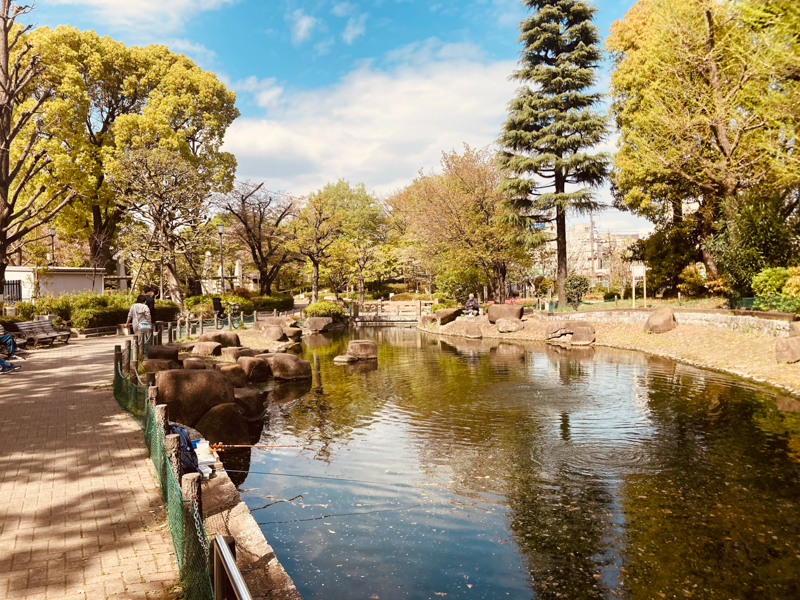 ビビッド（暖かい）