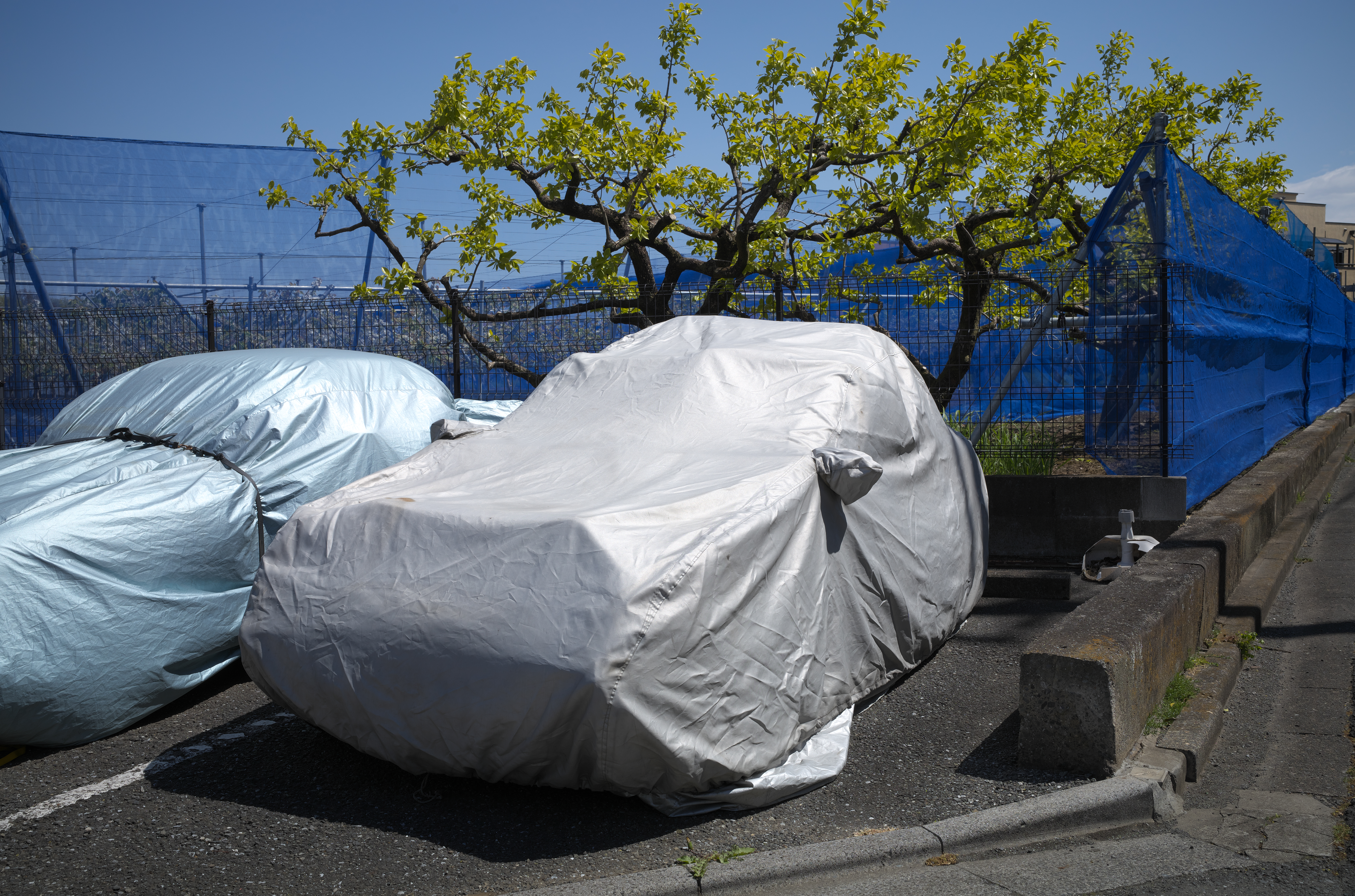 ロバート・フランクが好きだと、クルマにカバーがしてある光景を見るだけで脊髄反射的に写真を撮るわけです。しいてこじつければ、ハイエストライトからディープシャドーへの階調の豊富さでしょうか。<br>ライカM10-R　APO-SUMMICRON-M F2/35mm ASPH.（F8・1/250秒）ISO 100