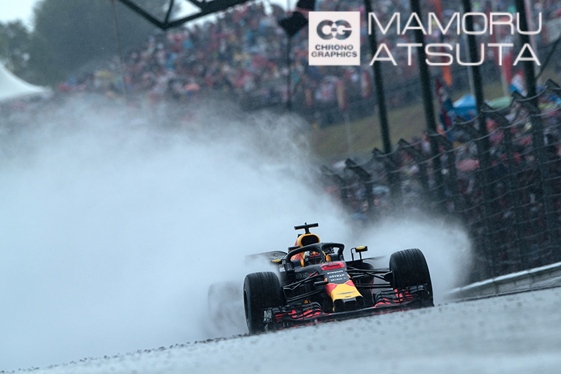 EOS-1D X Mark II　EF400mm F2.8L II USM＋EF2× II（F9・1/500秒） ISO 500