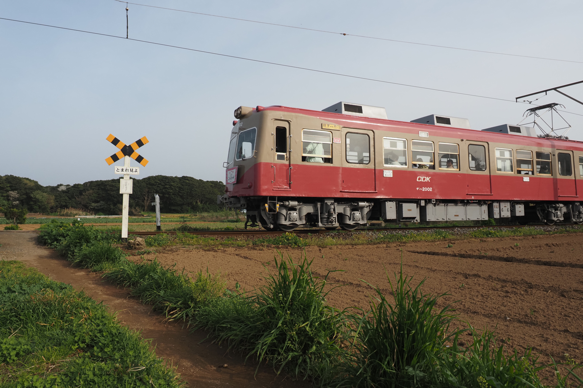 <span class="fnt-85">OM-D E-M1X / M.ZUIKO DIGITAL ED 12-40mm F2.8 PRO（12mm：24mm相当） / マニュアル露出（F5.6・1/1,600秒・±0EV） / ISO 400</span>