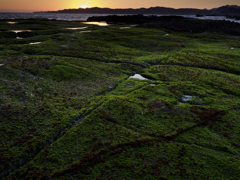 太陽の露出に合わせたら手前が暗くなってしまった