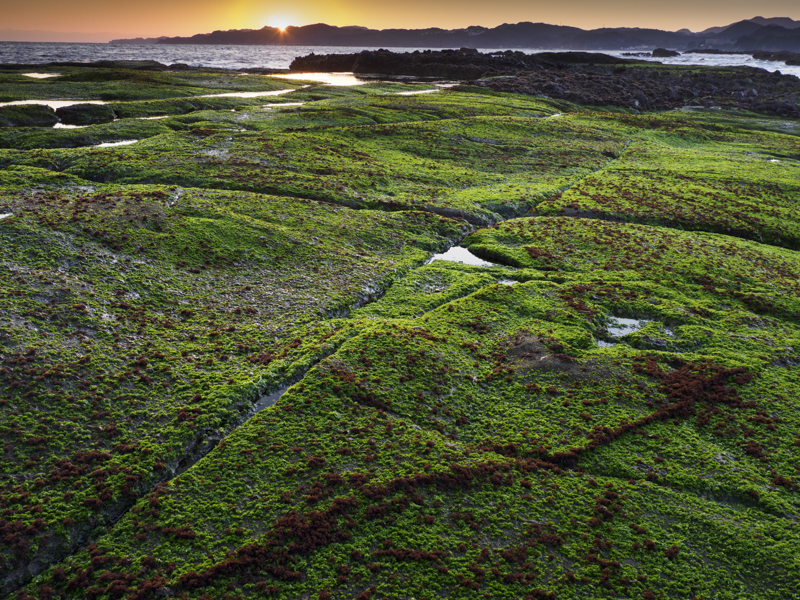 手前と空の露出を合わせることができた