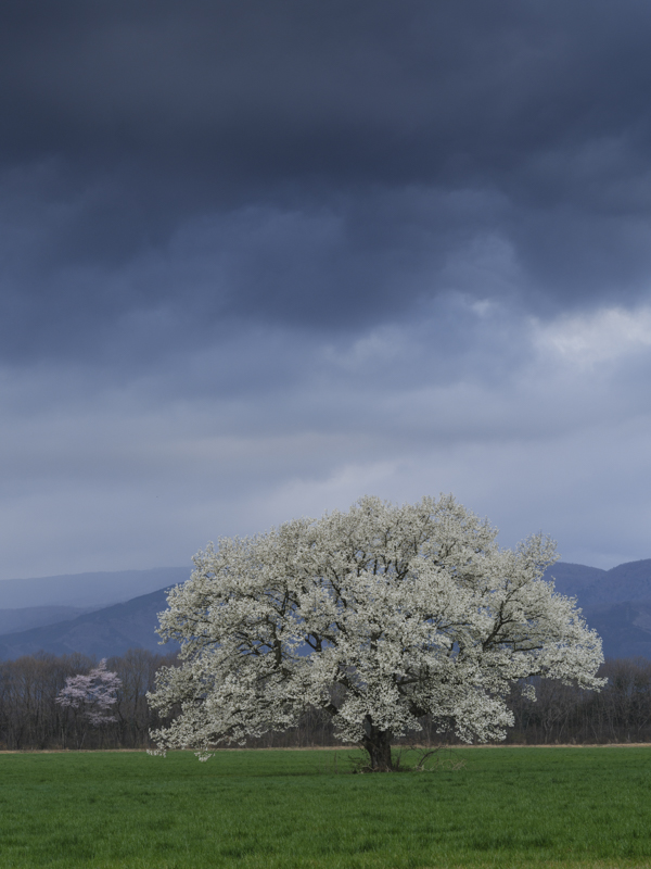 スライダーを左右に動かすことで、バランサーGND フィルターなし（左）あり（右）を比較できます