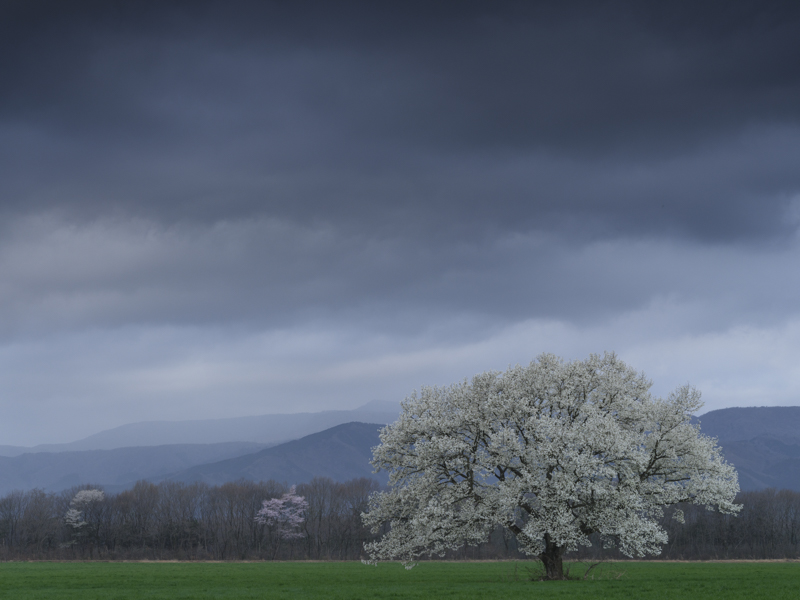 スライダーを左右に動かすことで、バランサーGND フィルターなし（左）あり（右）を比較できます