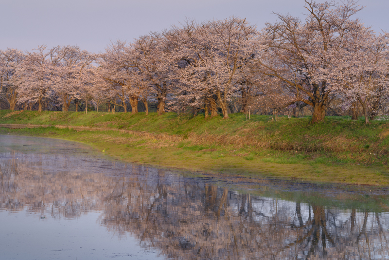 スライダーを左右に動かすことで、バランサーGND フィルターなし（左）あり（右）を比較できます