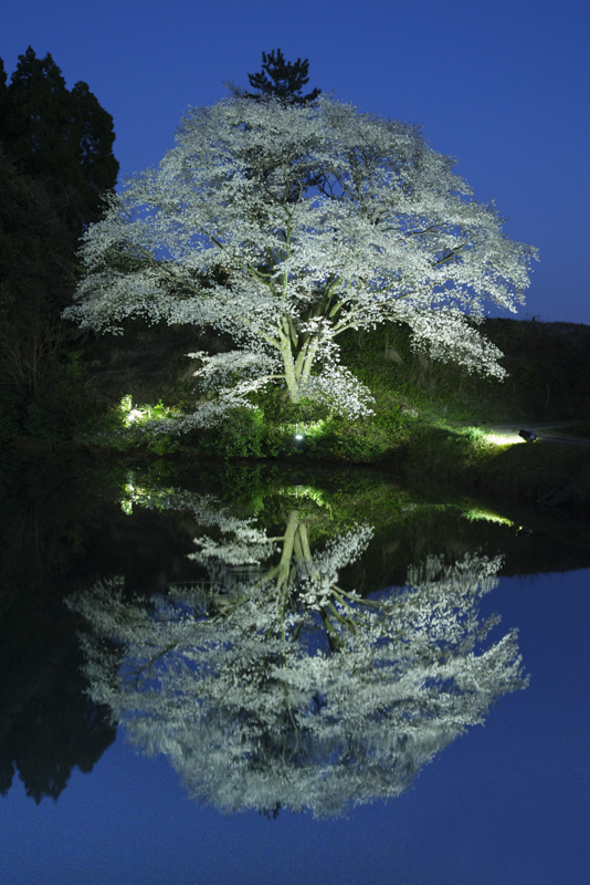 スライダーを左右に動かすことで、バランサーGND フィルターなし（左）あり（右）を比較できます