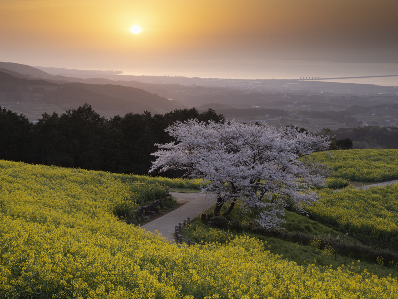 スライダーを左右に動かすことで、バランサーGND フィルターなし（左）あり（右）を比較できます