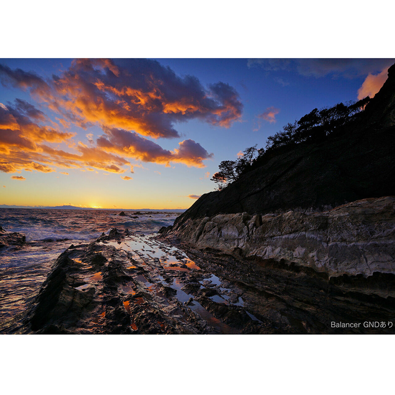 フィルターあり