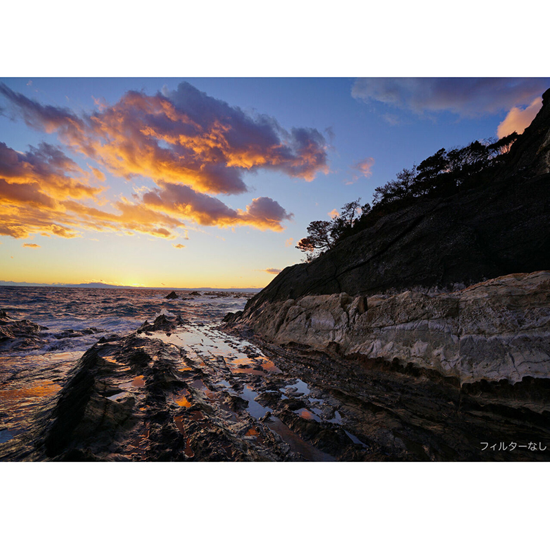 フィルターなし