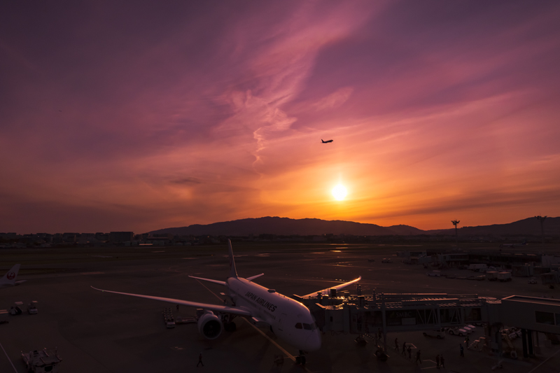 伊丹空港の展望デッキから787を狙う。うっすらハロも見える夕焼け空という好条件だ。目まぐるしく変化する露出の中で飛行機を捉えるためには三脚が必要だ<br><span class="fnt-85">EOS R5 / RF15-35mm F2.8 L IS USM / 15mm / 絞り優先AE（F8、1/3,200秒、-1.7EV） / ISO 400 / WB:オート</span>