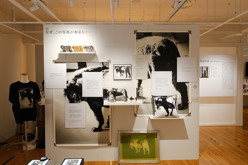 <span class="fnt-85">©Daido Moriyama Photo Foundation</span>