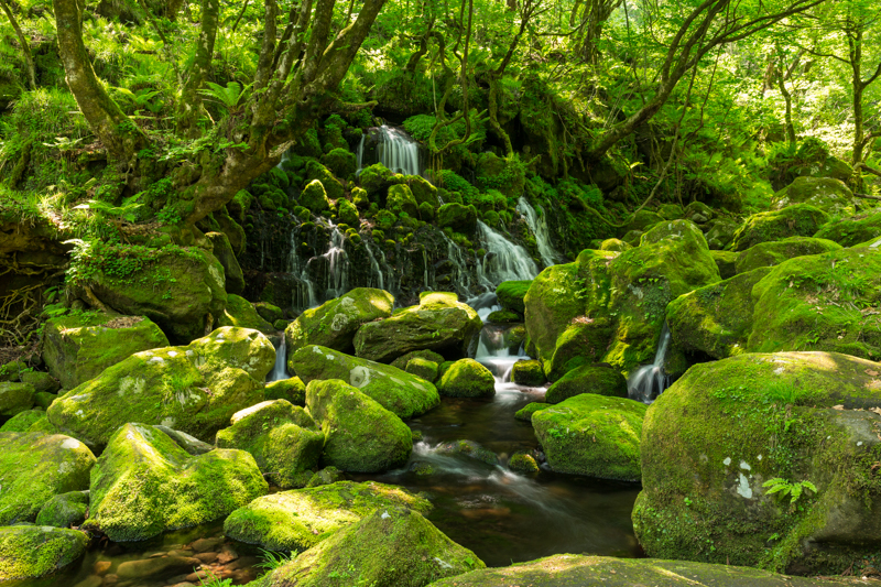 撮影：館野二朗<br><span class="fnt-85">EOS 5D Mark III / EF24-70mm F2.8L II USM / 28mm / マニュアル露出（1.0秒・F11） / ISO 100</span>