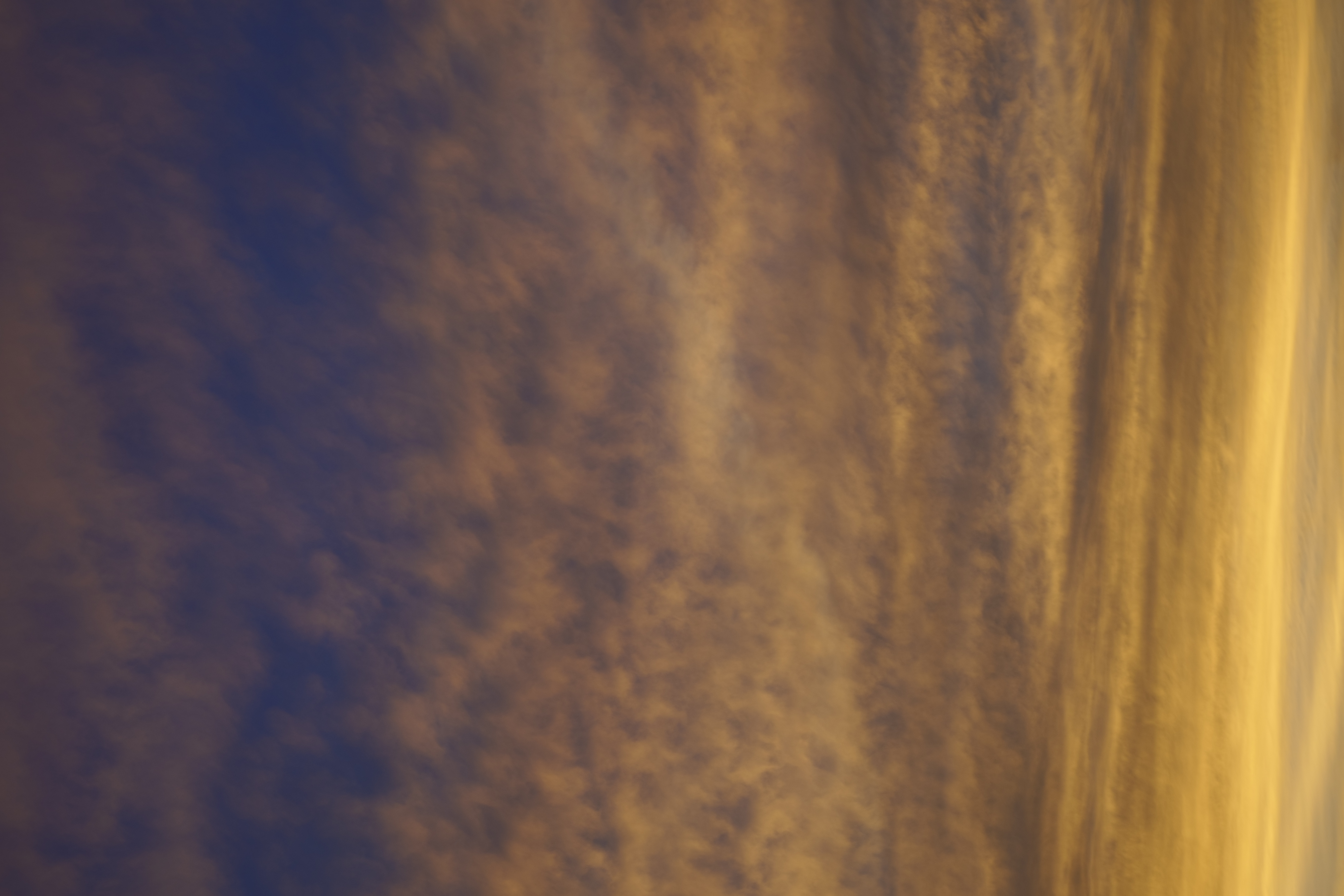 <span class="fnt-85">筆者撮影<br>LUMIX S1 / LUMIX S PRO 70-200mm F4 O.I.S.＋DMW-STC14（99mm）/ プログラムAE（F5.6・1/125秒・-0.3EV） / ISO 125</span>