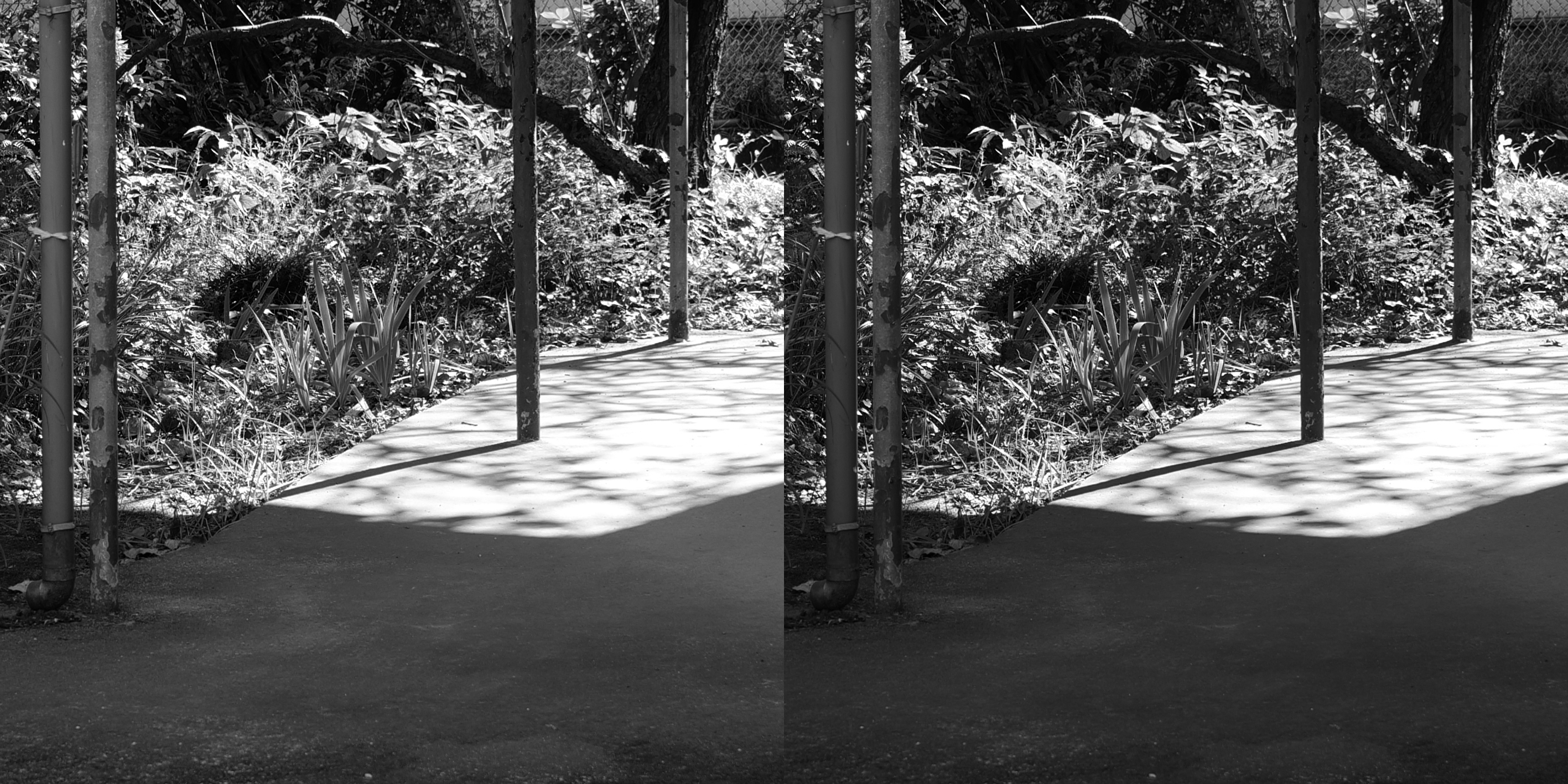 <span class="fnt-85">LUMIX S5 / LUMIX S 20-60mm F3.5-5.6（39mm） / プログラムAE（F4.7・1/100秒・-0.3EV） / ISO 100（2カット共通）</span>