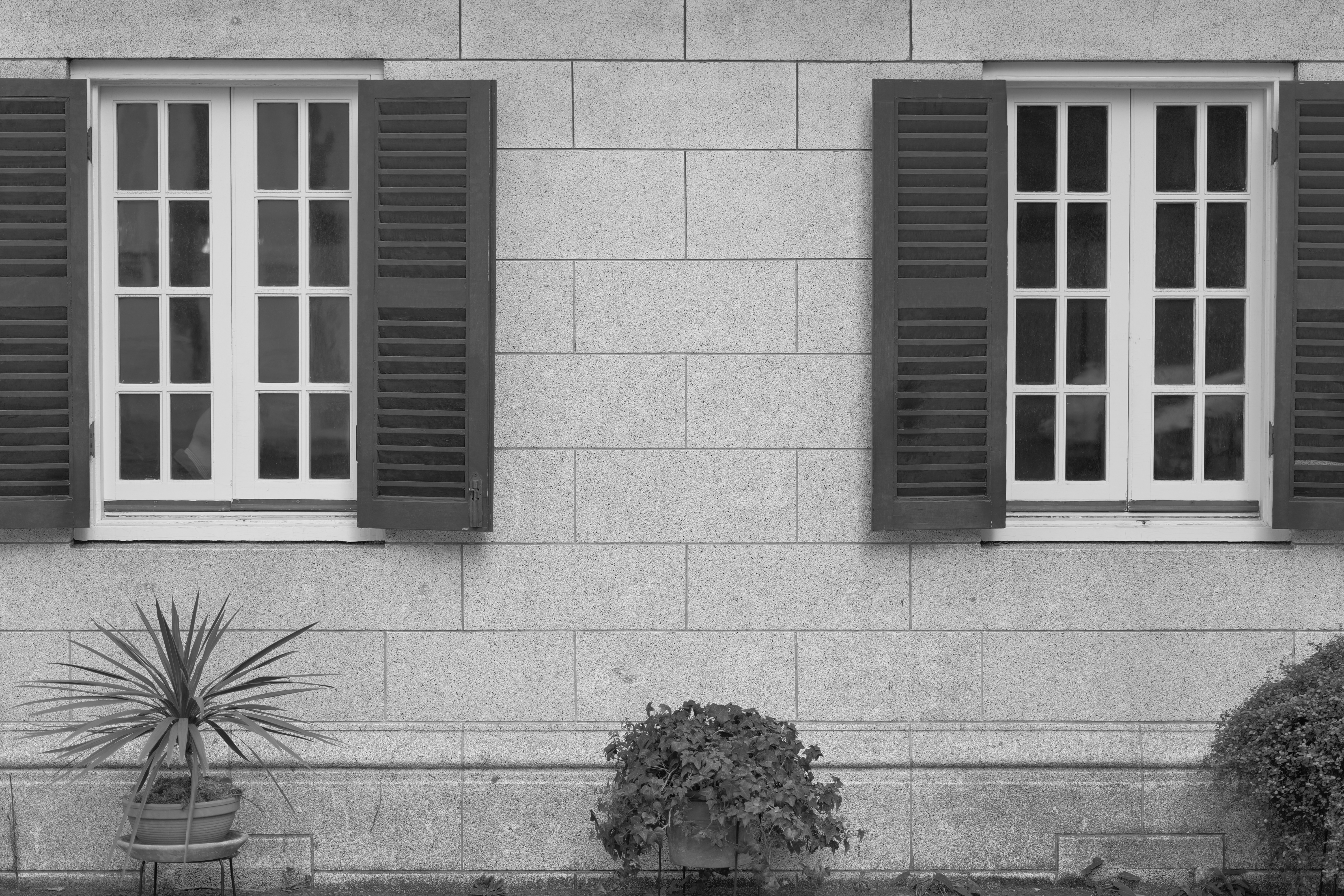 <span class="fnt-85">フォトスタイル：L.モノクロームS<br>LUMIX S5 / LUMIX S 85mm F1.8 / プログラムAE（F2.2・1/250秒・±0EV） / ISO 100</span>