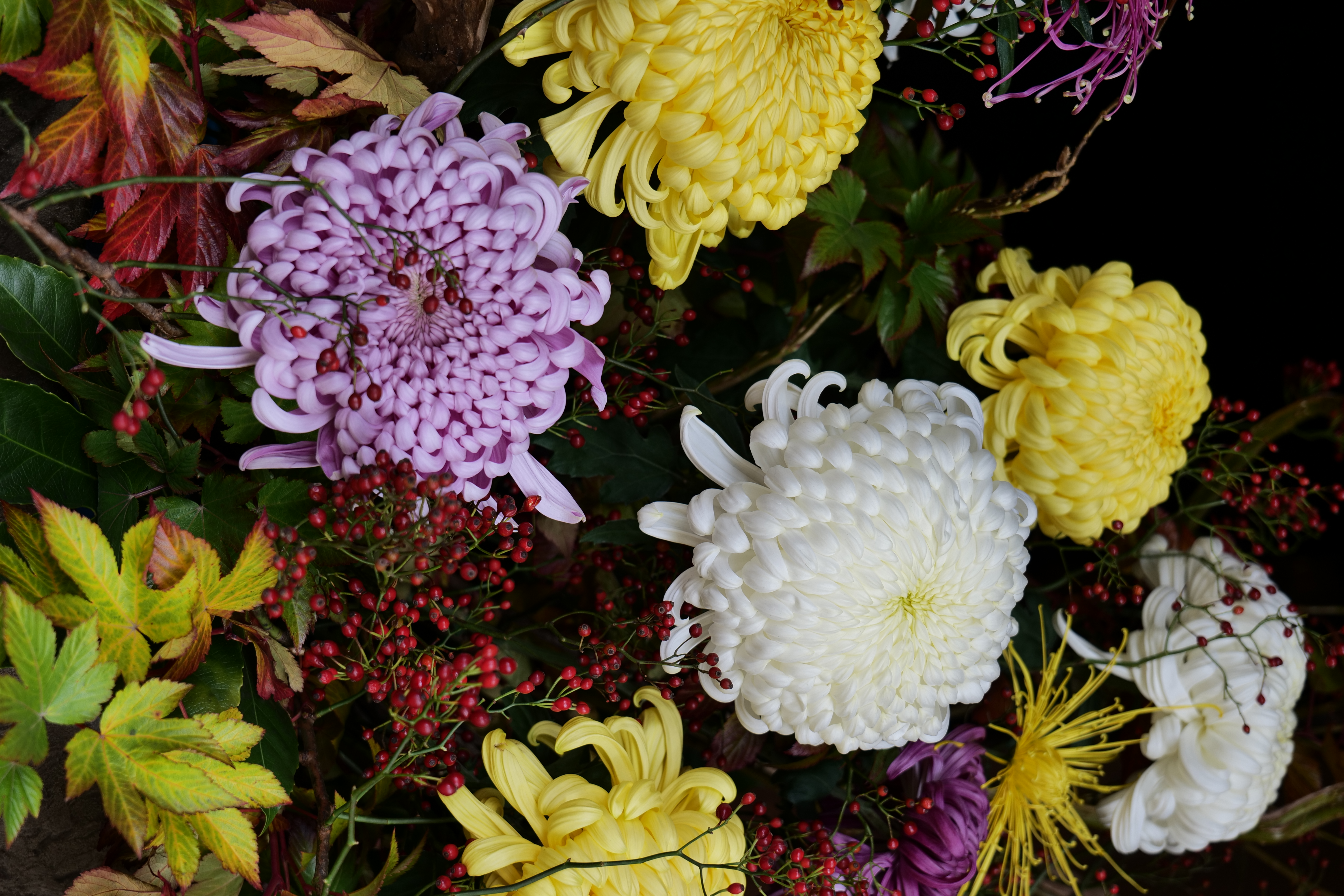 <span class="fnt-85">フォトスタイル：スタンダード<br>LUMIX S5 / LUMIX S 20-60mm F3.5-5.6（56mm） / プログラムAE（F5.5・1/60秒・±0EV） / ISO 250</span>