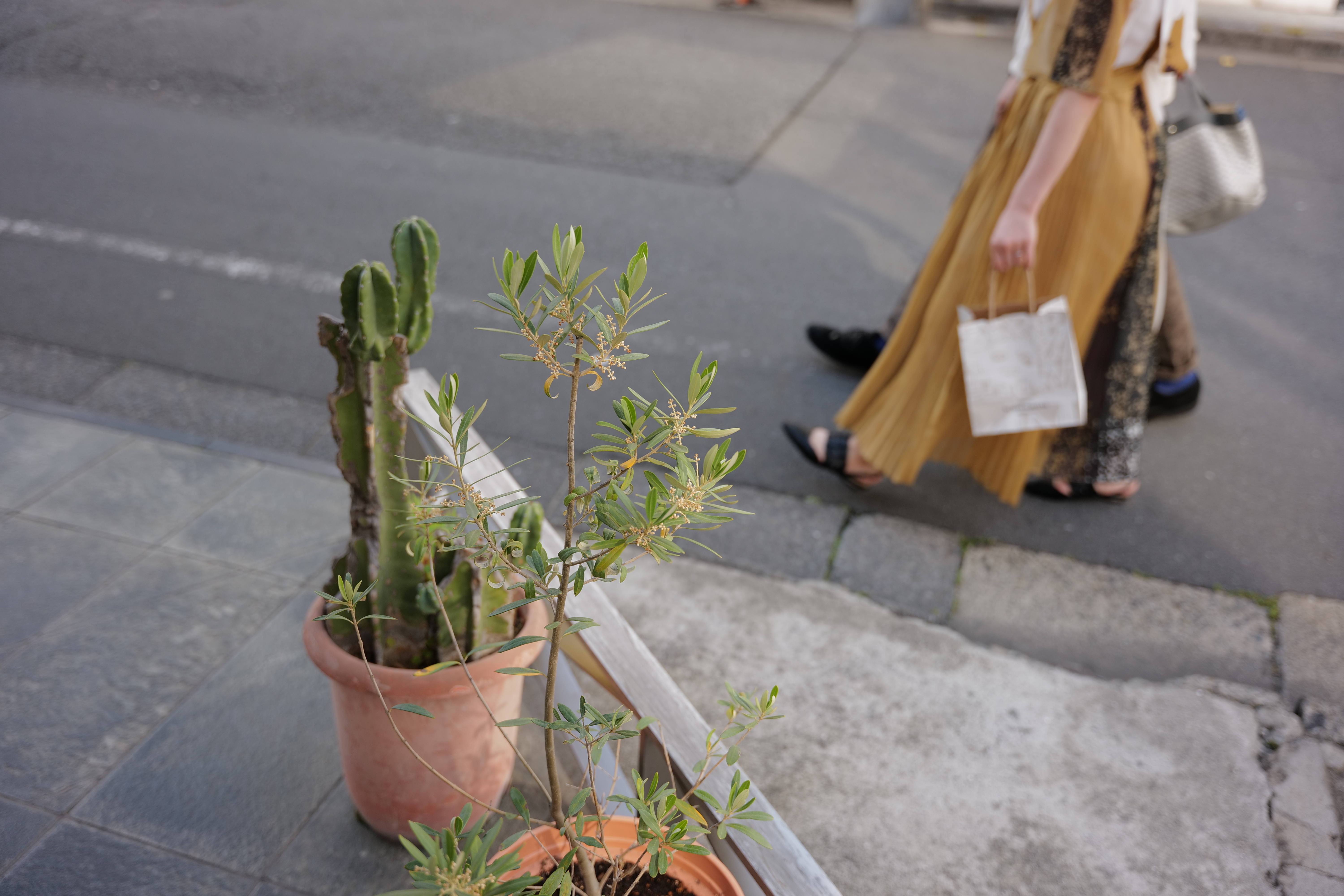 ライカSL2-S / 絞り優先AE（F2.8・1/320秒）/ ISO 200 / 35mm