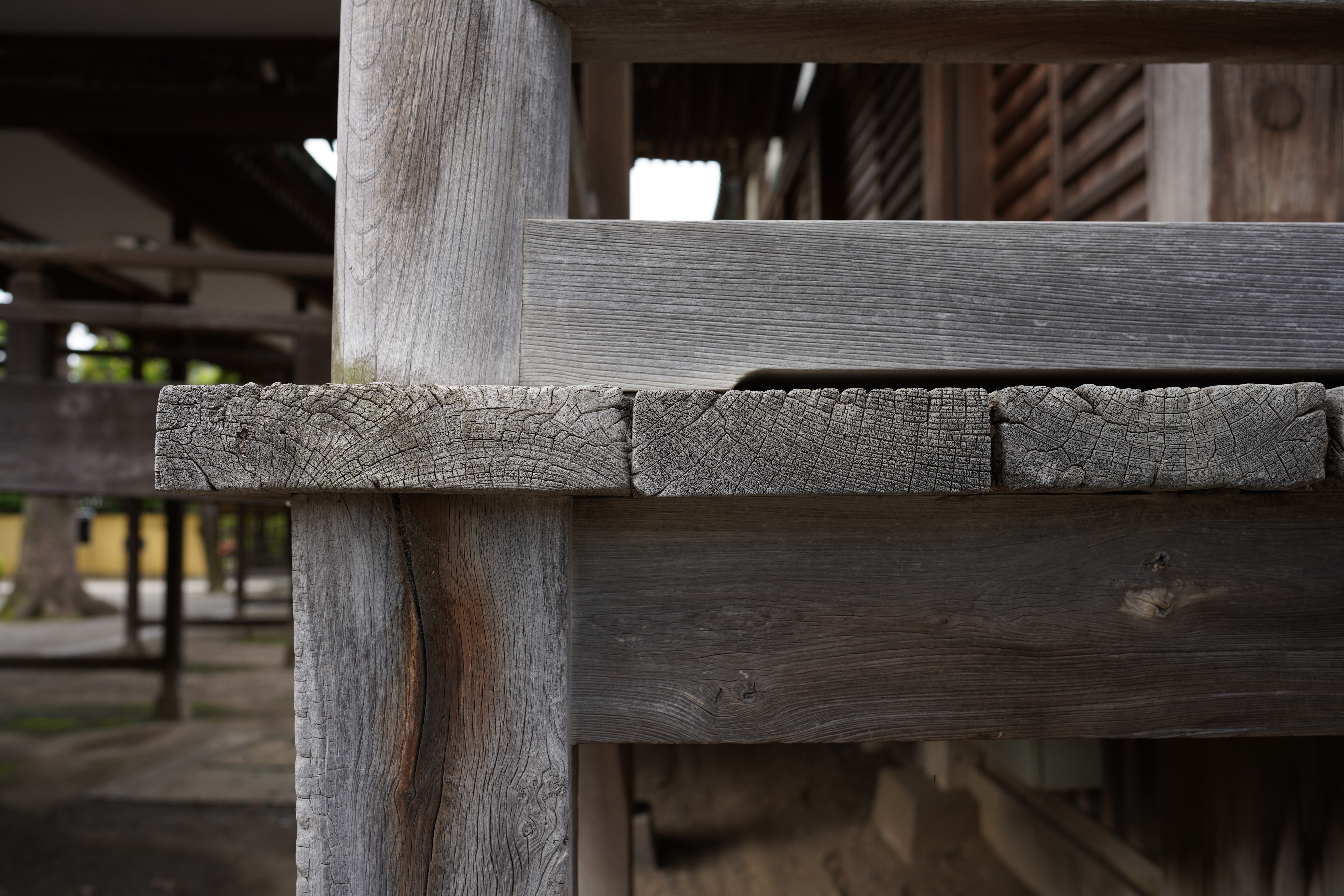 α7R IV / 絞り優先AE（F4・1/100秒）/ ISO 100