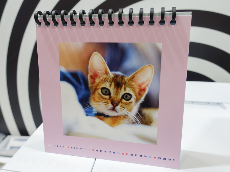 自動両面印刷に対応したことで、カレンダーやフォトブックなど、簡易的なものであれば自作できるという