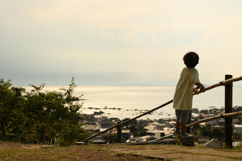 EOS R6 / 70mm F2.8 DG MACRO｜Art / 70mm / マニュアル露出（1/3,200秒・F5.0） / ISO 320