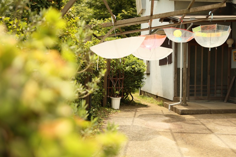 EOS R6 / 24-35mm F2 DG HSM｜Art / 35mm / マニュアル露出（1/3,200秒・F5.0） / ISO 320