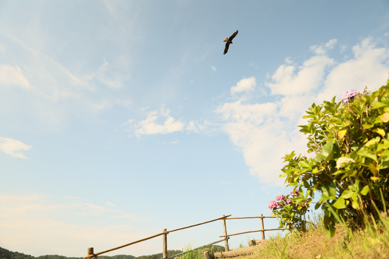 EOS R6 / 24-35mm F2 DG HSM｜Art / 24mm / マニュアル露出（1/8,000秒・F2.0） / ISO 320