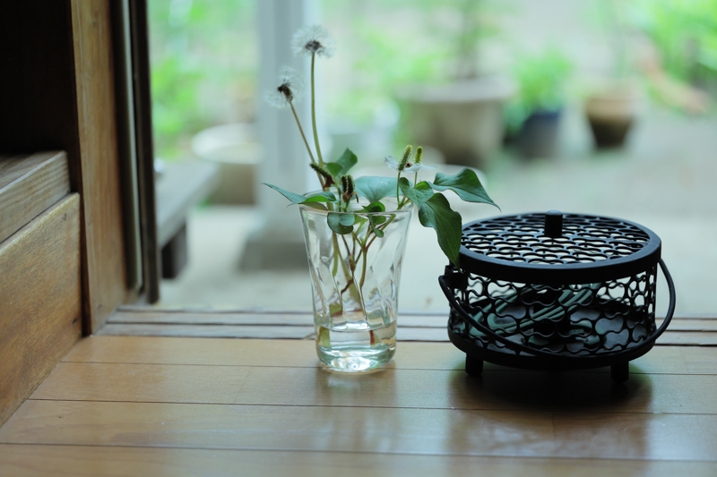 EOS R6 / 70mm F2.8 DG MACRO｜Art / 70mm / マニュアル露出（1/2,000秒・F2.8） / ISO 2500