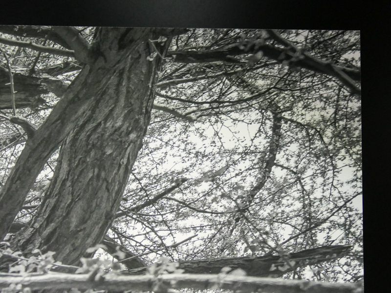 参考：上の作品の中央部分（左）と右上部分（右）