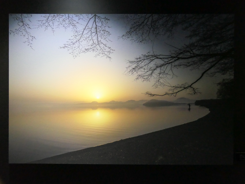 ©Anju<br>明部のグラデーションに、スマートフォンとしては大きな1型センサーの余裕を感じさせる