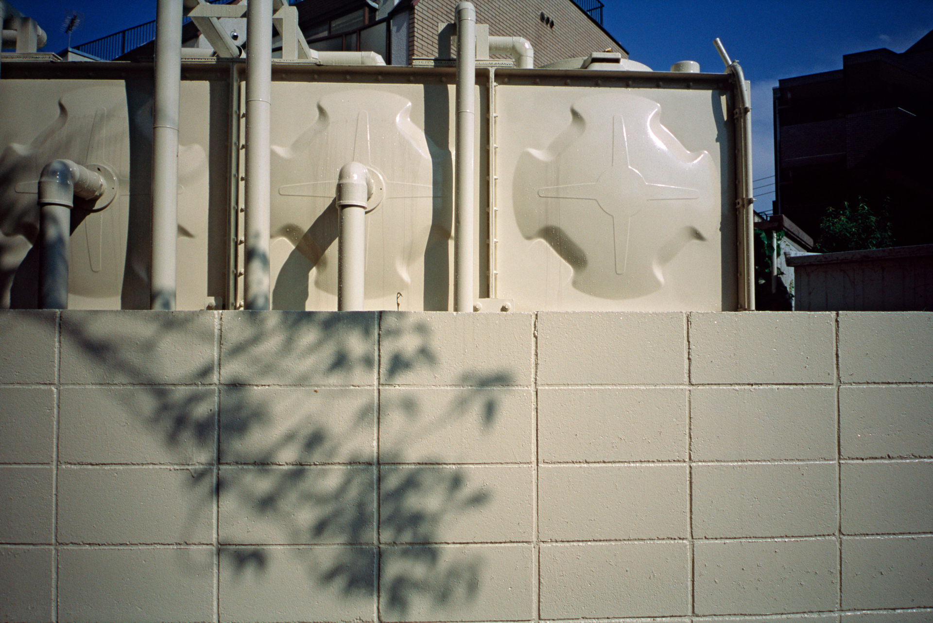 前回のライツミノルタCLの時に紹介しましたキヤノン25mm F3.5です。半世紀以上も前のレンズとは思えない再現性です。<br>ミノルタCLE　キヤノン25mm F3.5（F8・AE +1/2補正）フジクロームプロビア100