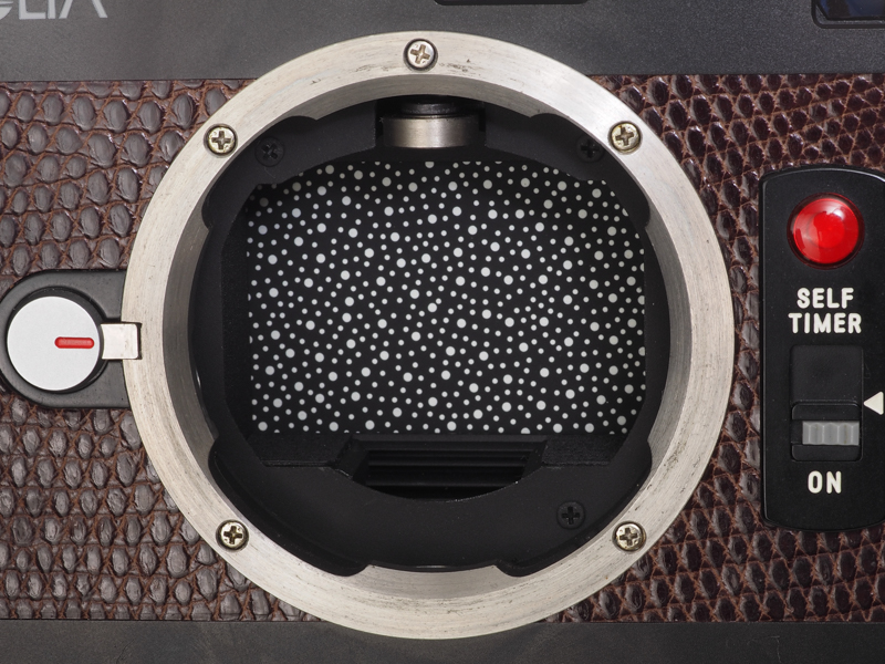 CLEのシャッター幕面。ツブツブ模様がハスコラみたいで気持ち悪くないすか。レンズ外すたびにこれ見ないといけません。オリンパスOM-2のほうがカッコよかったよなあ。ピアノの鍵盤を並べたみたいで。色をグレーにしても問題ないんじゃないかと思うんだけどなあ。