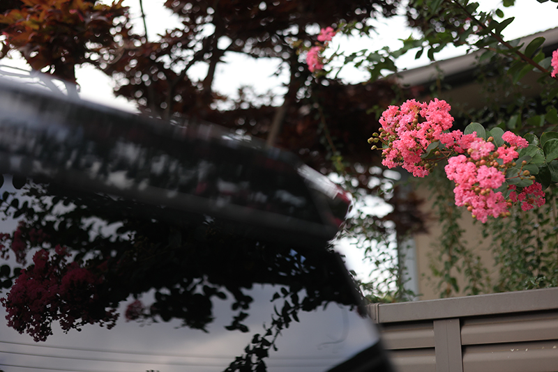 EF版で撮影。開放絞り近辺では線が太く多少のユルさはあるが、悪い印象はない。EOS Rシリーズではデジタルレンズオプティマイザをボディで適用すれば、収差補正が行われ描写は向上する<br>EOS R5　EF50mm F1.8 STM　絞り優先AE（F3.2、1/4,000秒、－1.0EV）　ISO 800　WB：オート