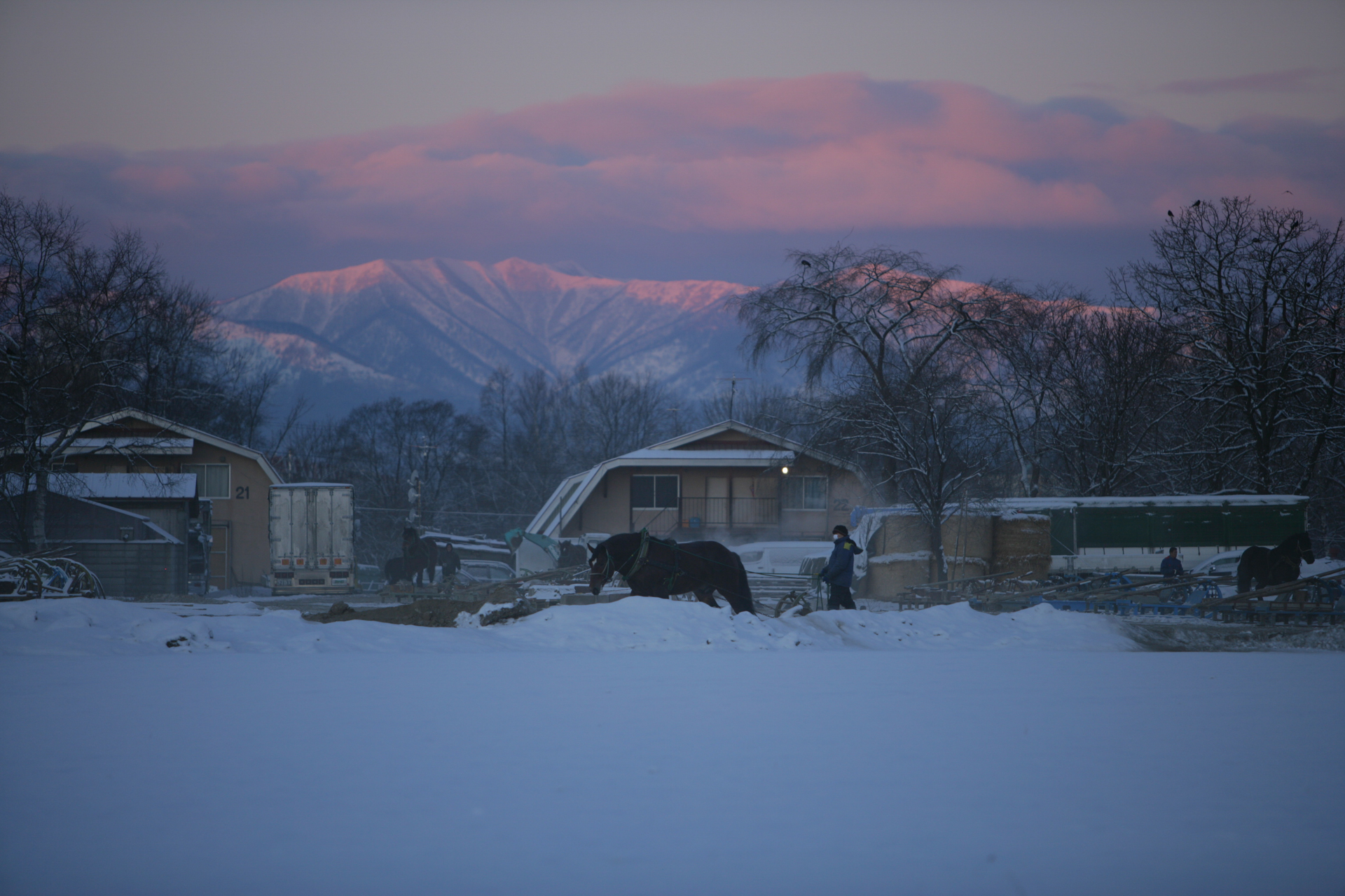 <span class="fnt-85">EOS-1Ds Mark III / 200mm / 絞り優先AE（F5.6・1/500秒・±0EV） / ISO 200</span>