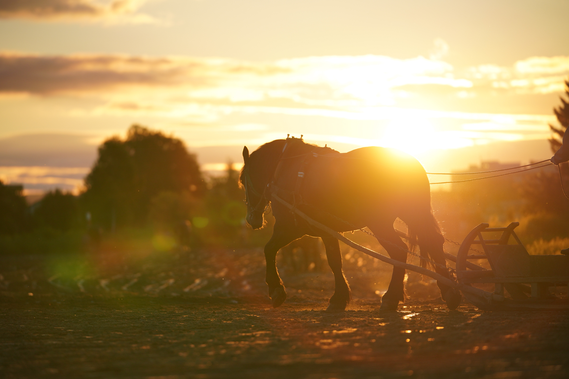 <span class="fnt-85">α7R III / FE 70-200mm F2.8 GM OSS（200mm） / 絞り優先AE（F3.2・1/3,200秒・±0EV） / ISO 400</span>