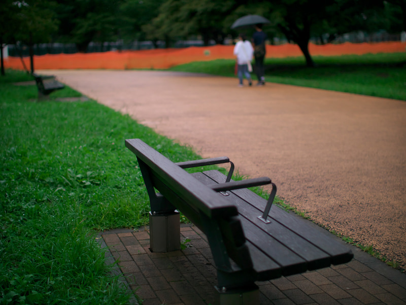 雨中の公園。開放絞りで使いましたが暗くても余裕の撮影ができます。ボケ味も良い感じです。中庸な撮影距離でも前後が思い切りボケてくれるのは嬉しいですね。<br>LUMIX DMC-GM1　SUPER NOKTON 29mm F0.8 Aspherical（F0.8・1/8,000秒）ISO 400